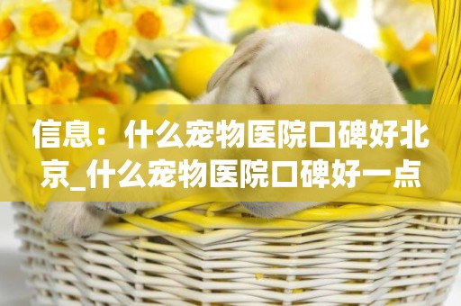 信息：什么寵物醫院口碑好北京_什么寵物醫院口碑好一點