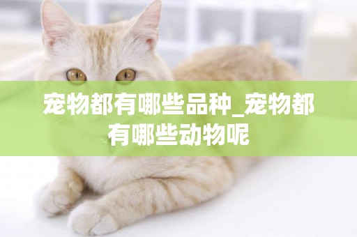 寵物都有哪些品種_寵物都有哪些動物呢