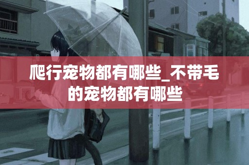 爬行寵物都有哪些_不帶毛的寵物都有哪些