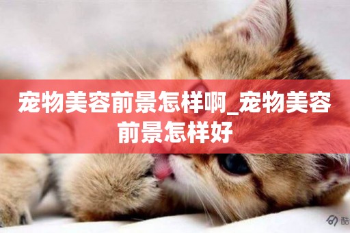 寵物美容前景怎樣啊_寵物美容前景怎樣好