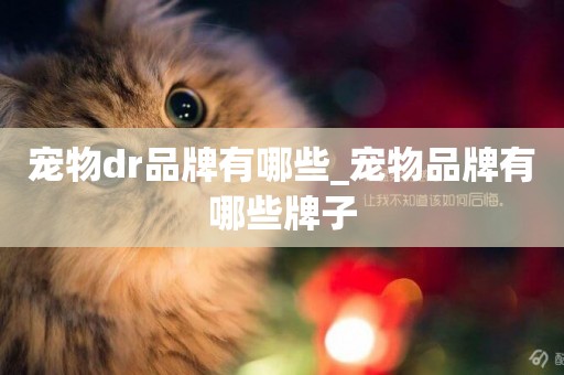 寵物dr品牌有哪些_寵物品牌有哪些牌子