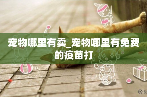 寵物哪里有賣_寵物哪里有免費的疫苗打