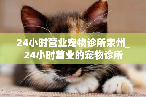 24小時營業寵物診所泉州_24小時營業的寵物診所