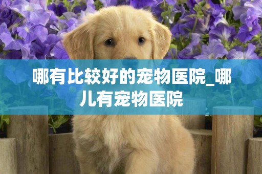哪有比較好的寵物醫院_哪兒有寵物醫院