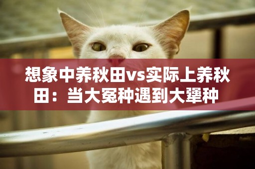 想象中養秋田vs實際上養秋田：當大冤種遇到大犟種 