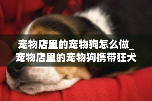 寵物店里的寵物狗怎么做_寵物店里的寵物狗攜帶狂犬病毒嗎