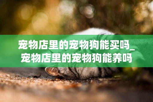 寵物店里的寵物狗能買嗎_寵物店里的寵物狗能養嗎