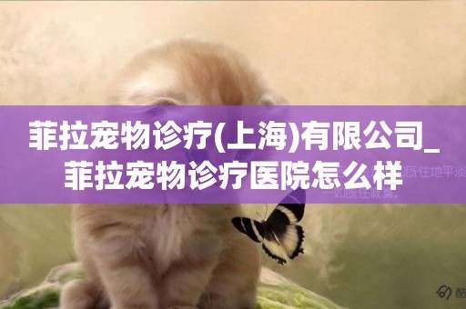 菲拉寵物診療(上海)有限公司_菲拉寵物診療醫院怎么樣