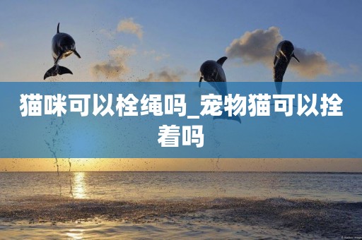 貓咪可以栓繩嗎_寵物貓可以拴著嗎