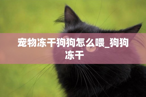 寵物凍干狗狗怎么喂_狗狗 凍干