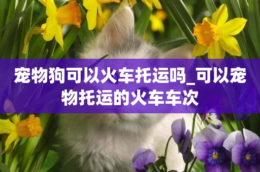 寵物狗可以火車托運嗎_可以寵物托運的火車車次