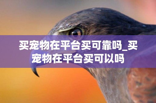 買寵物在平臺買可靠嗎_買寵物在平臺買可以嗎