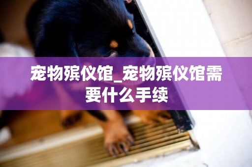寵物殯儀館_寵物殯儀館需要什么手續