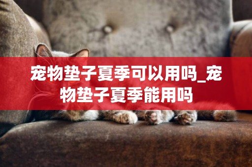 寵物墊子夏季可以用嗎_寵物墊子夏季能用嗎
