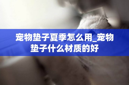 寵物墊子夏季怎么用_寵物墊子什么材質的好