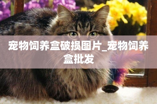 寵物飼養盒破損圖片_寵物飼養盒批發