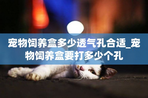 寵物飼養盒多少透氣孔合適_寵物飼養盒要打多少個孔