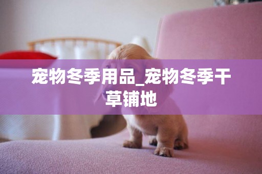 寵物冬季用品_寵物冬季干草鋪地