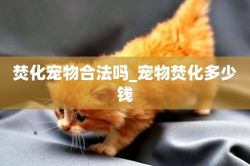焚化寵物合法嗎_寵物焚化多少錢