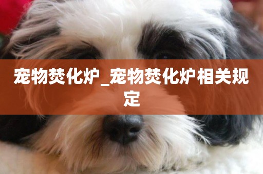 寵物焚化爐_寵物焚化爐相關規定