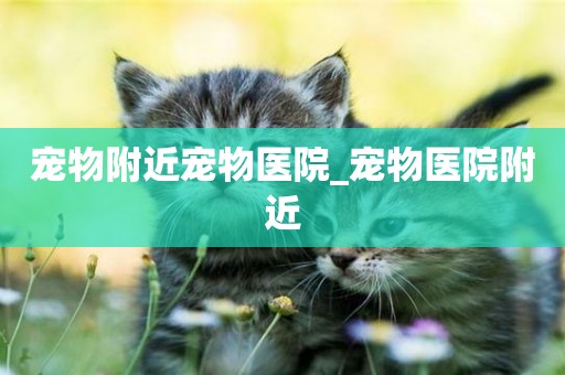 寵物附近寵物醫院_寵物醫院附近