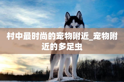 村中最時尚的寵物附近_寵物附近的多足蟲