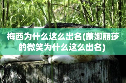 梅西為什么這么出名(蒙娜麗莎的微笑為什么這么出名) 