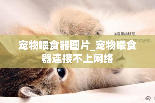 寵物喂食器圖片_寵物喂食器連接不上網絡