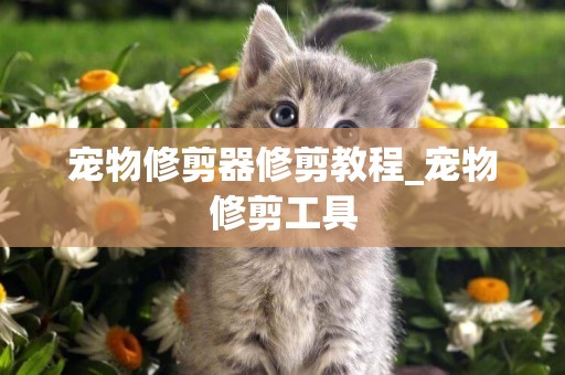 寵物修剪器修剪教程_寵物修剪工具