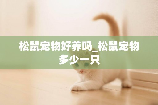 松鼠寵物好養嗎_松鼠寵物多少一只