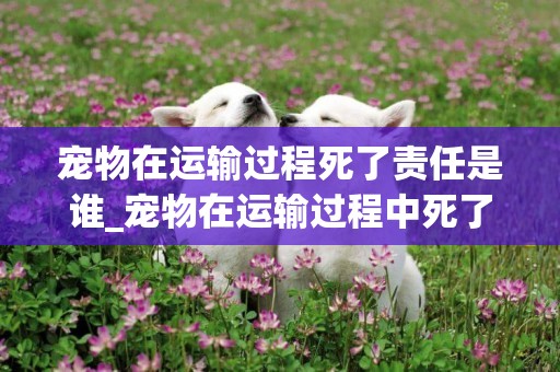 寵物在運輸過程死了責任是誰_寵物在運輸過程中死了