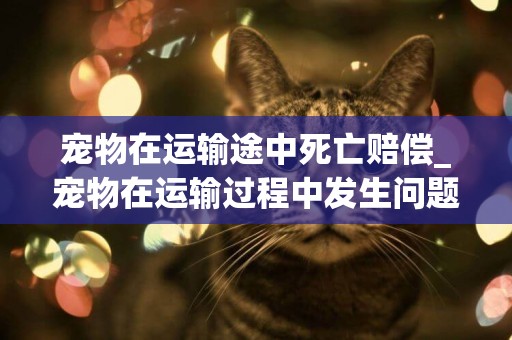 寵物在運輸途中死亡賠償_寵物在運輸過程中發生問題怎么辦