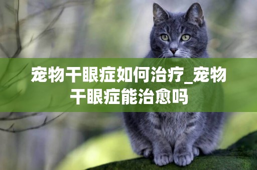 寵物干眼癥如何治療_寵物干眼癥能治愈嗎