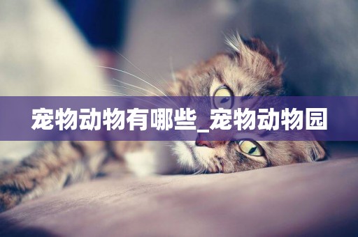 寵物動物有哪些_寵物動物園