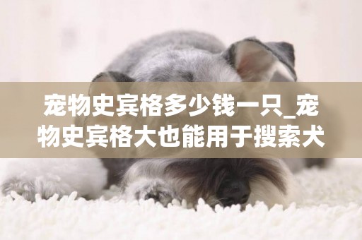 寵物史賓格多少錢一只_寵物史賓格大也能用于搜索犬嗎?