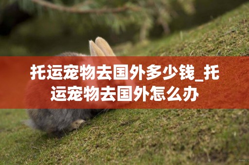 托運寵物去國外多少錢_托運寵物去國外怎么辦