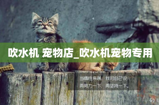 吹水機 寵物店_吹水機寵物專用