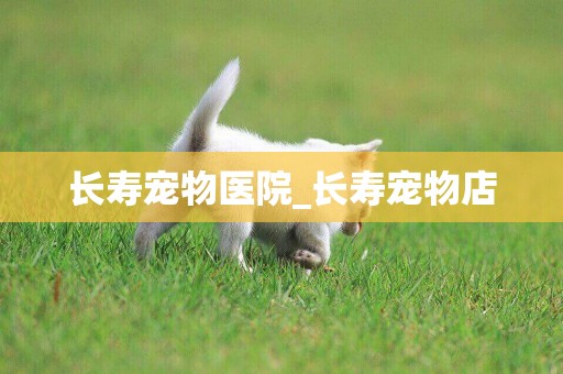 長壽寵物醫院_長壽寵物店