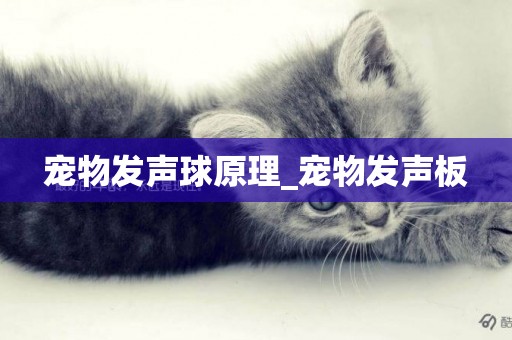 寵物發聲球原理_寵物發聲板