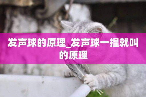 發聲球的原理_發聲球一捏就叫的原理