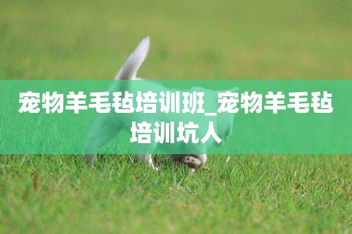 寵物羊毛氈培訓班_寵物羊毛氈培訓坑人