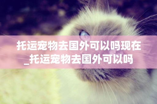 托運寵物去國外可以嗎現在_托運寵物去國外可以嗎