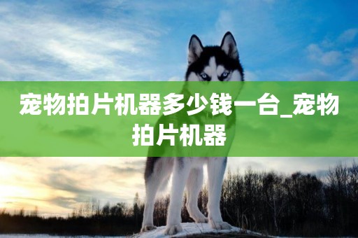 寵物拍片機器多少錢一臺_寵物拍片機器