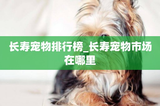 長壽寵物排行榜_長壽寵物市場在哪里