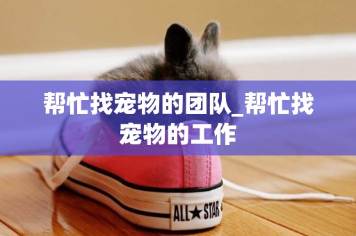 幫忙找寵物的團隊_幫忙找寵物的工作