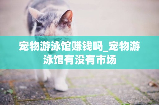 寵物游泳館賺錢嗎_寵物游泳館有沒有市場
