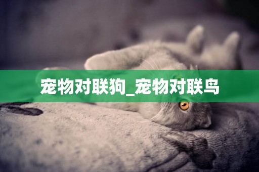 寵物對聯狗_寵物對聯鳥