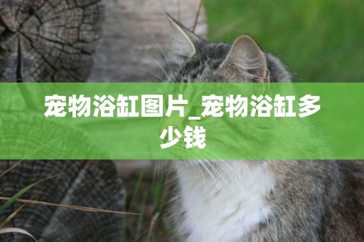 寵物浴缸圖片_寵物浴缸多少錢