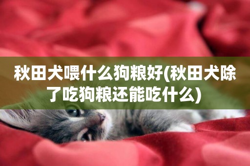 秋田犬喂什么狗糧好(秋田犬除了吃狗糧還能吃什么) 