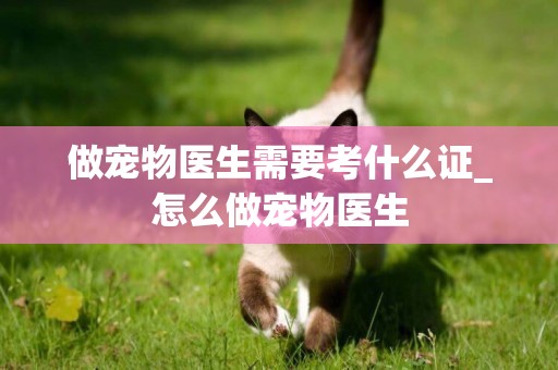 做寵物醫生需要考什么證_怎么做寵物醫生